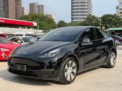 Tesla Model Y Long Range All-Wheel Drive - ფოტო 1