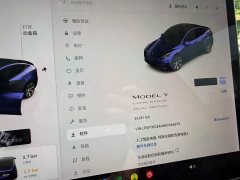 Tesla Model Y Long Range All-Wheel Drive - ფოტო 10