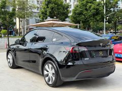 Tesla Model Y Long Range All-Wheel Drive - ფოტო 4