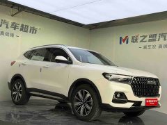 Haval H6 National Trend Edition 1.5T Automatic Champion Version - ფოტო 3