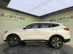 Haval H6 National Trend Edition 1.5T Automatic Champion Version - ფოტო 9