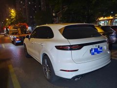 Porsche Cayenne S 2.9T Platinum Edition - ფოტო 7