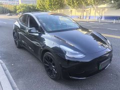 Tesla Model Y Rear-Wheel Drive - ფოტო 12
