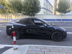 Tesla Model Y Rear-Wheel Drive - ფოტო 14