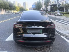 Tesla Model Y Rear-Wheel Drive - ფოტო 8