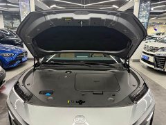 Toyota Platinum Wisdom 7 700 Max - ფოტო 13