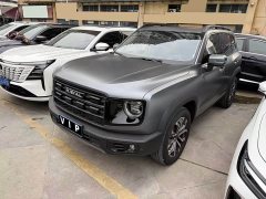 Great Wall Dachshund 2026 1.5T DCT Border Collie Edition - ფოტო 1