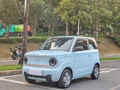 Geely Panda 2023 Panda Mini 200km Endurance Edition - ფოტო 1