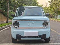 Geely Panda 2023 Panda Mini 200km Endurance Edition - ფოტო 2