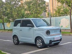 Geely Panda 2023 Panda Mini 200km Endurance Edition - ფოტო 3