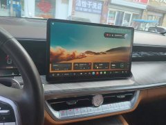 Tank 500 3.0T Sport Landscape Edition 5-Seater - ფოტო 13