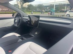 Tesla Model 3 Rear-Wheel Drive - ფოტო 17