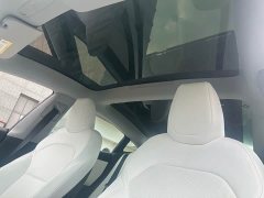 Tesla Model 3 Rear-Wheel Drive - ფოტო 18