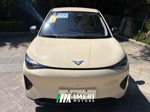 2026 Karry Shiyue Max 310km Wish Edition