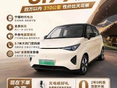 Chery Kaiyue Shiyue Max 310km Wish Edition - ფოტო 10