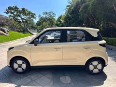 Chery Kaiyue Shiyue Max 310km Wish Edition - ფოტო 3