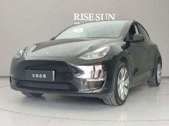 Tesla Model Y 2021 Long Range All-Wheel Drive 3D7 - ფოტო 1