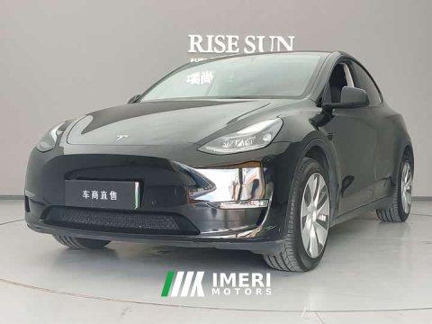 2022 Tesla Model Y 2021 Long Range All-Wheel Drive 3D7 - ავტომობილი ჩინეთიდან