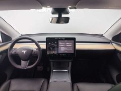Tesla Model Y 2021 Long Range All-Wheel Drive 3D7 - ფოტო 15
