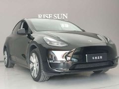 Tesla Model Y 2021 Long Range All-Wheel Drive 3D7 - ფოტო 3