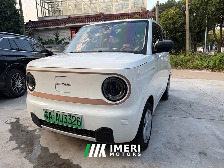 Geely Panda Mini 200km Endurance Edition - ავტომობილი ჩინეთიდან