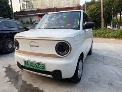 Geely Panda Mini 200km Endurance Edition - ფოტო 1
