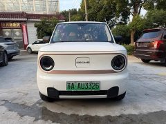 Geely Panda Mini 200km Endurance Edition - ფოტო 2