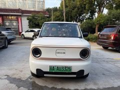 Geely Panda Mini 200km Endurance Edition - ფოტო 3