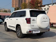 Beijing Jeep BJ60 2022 2.0T Eleventh Edition Five-Seater - ფოტო 6
