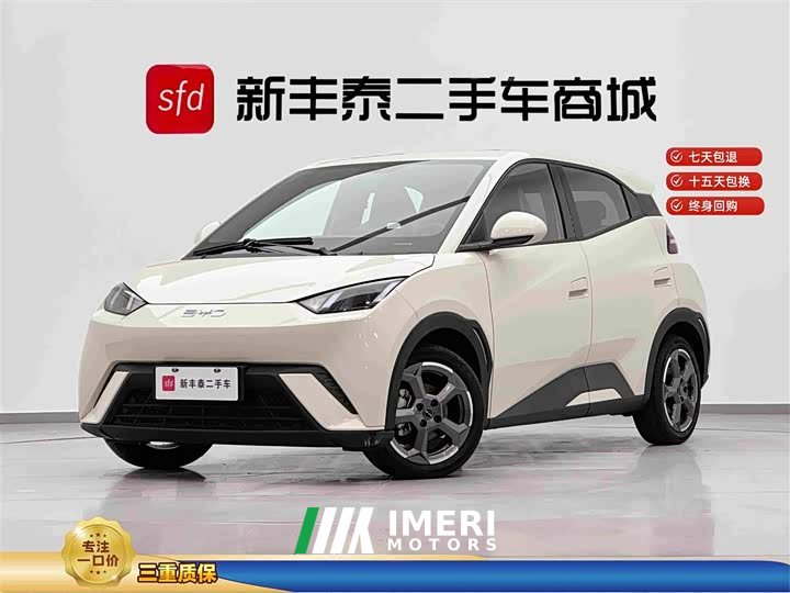 BYD Seagull Glory Edition 305km Freedom Version - ავტომობილი ჩინეთიდან