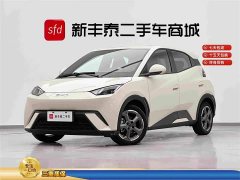 BYD Seagull Glory Edition 305km Freedom Version - ფოტო 1