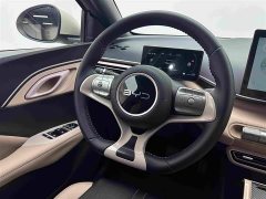 BYD Seagull Glory Edition 305km Freedom Version - ფოტო 10
