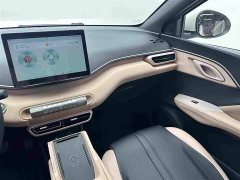 BYD Seagull Glory Edition 305km Freedom Version - ფოტო 15