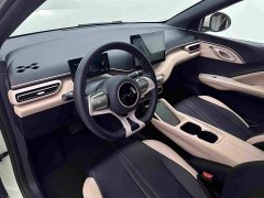 BYD Seagull Glory Edition 305km Freedom Version - ფოტო 16