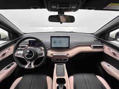 BYD Seagull Glory Edition 305km Freedom Version - ფოტო 18