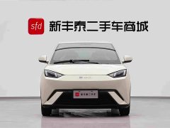 BYD Seagull Glory Edition 305km Freedom Version - ფოტო 2