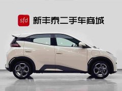 BYD Seagull Glory Edition 305km Freedom Version - ფოტო 3