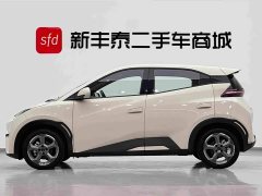 BYD Seagull Glory Edition 305km Freedom Version - ფოტო 4