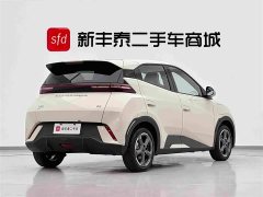 BYD Seagull Glory Edition 305km Freedom Version - ფოტო 5