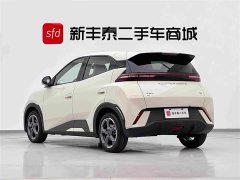 BYD Seagull Glory Edition 305km Freedom Version - ფოტო 6
