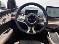 BYD Seagull Glory Edition 305km Freedom Version - ფოტო 9