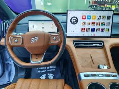 Jetour Shanhai L7 PLUS 2026 121km Luxury Edition 5-seater - ფოტო 12
