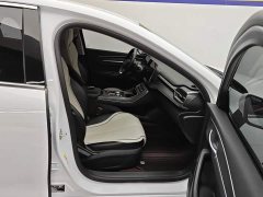 BYD Destroyer 05 Glory Edition DM-i 55KM Luxury - ფოტო 8