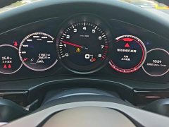 Porsche Panamera Facelift Panamera 2.9T Platinum Edition - ფოტო 14