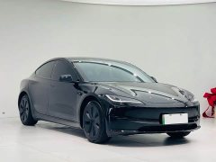 Tesla Model 3 2023 Rear-Wheel Drive - ფოტო 3