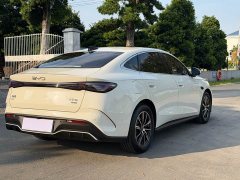 BYD Dolphin 06 DM-i Smart Drive 120KM Deluxe - ფოტო 7