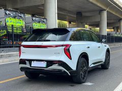 FAW Hongqi Tiangong 08 520 Max RWD Version - ფოტო 5