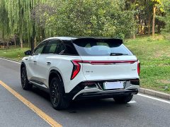 FAW Hongqi Tiangong 08 520 Max RWD Version - ფოტო 6