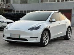 Tesla Model Y Standard Range RWD - ფოტო 1