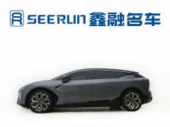 HiPhi X 2021 Flagship 6-Seater - ფოტო 14